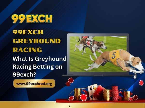 What Is Greyhound Racing Betting on 99exch​